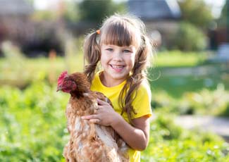 girl holding hen