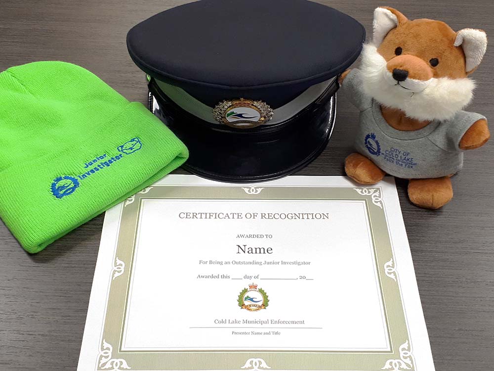 junior investigator prizes