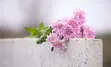 flowers on head stone
